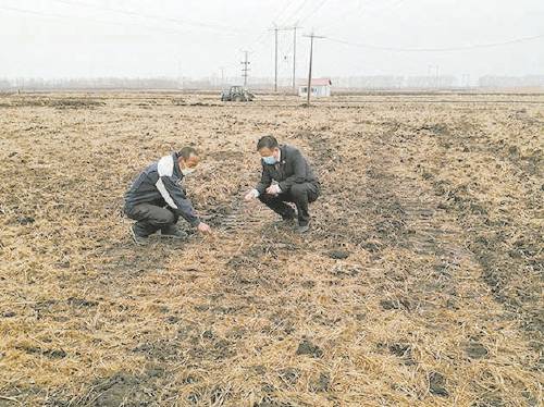 检察护垦护农在行动