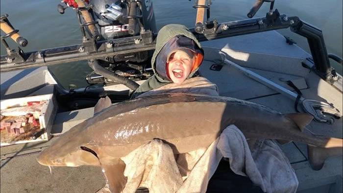 美国田纳西州9岁男童一杆钓起重达36公斤巨型湖鲟