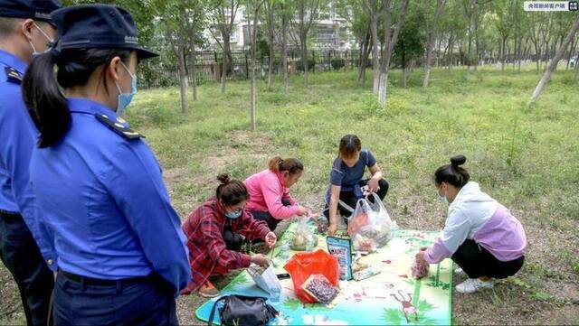 北京市公园持续开展不文明游园行为执法检查 已查处不文明游园行为600多起