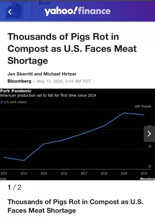 △雅虎财经（Yahoo Finance）：美国面临肉类短缺却有成千上万头猪在堆肥中腐烂。