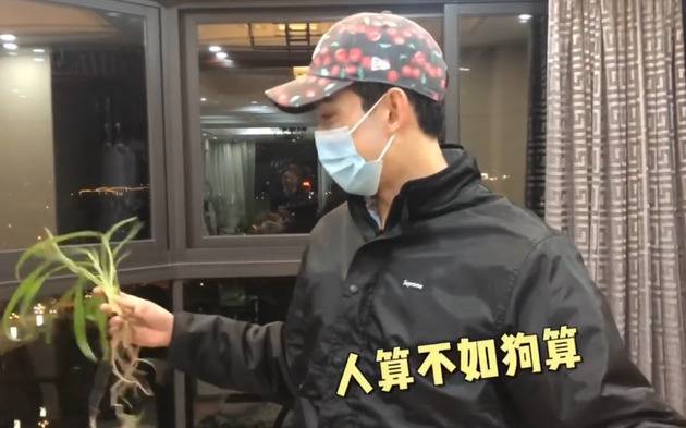 吴磊攥着被狗狗打翻的绿植