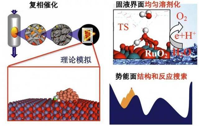 复旦大学斩获特等奖！上海市科学技术奖揭晓！