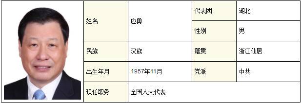 应勇、龚正、王忠林所在代表团变了