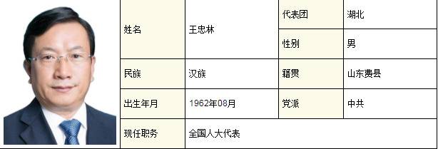 应勇、龚正、王忠林所在代表团变了