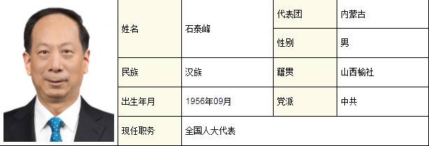 应勇、龚正、王忠林所在代表团变了