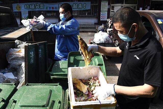 净菜上市，尾菜怎么办？月坛街道有新招 组图