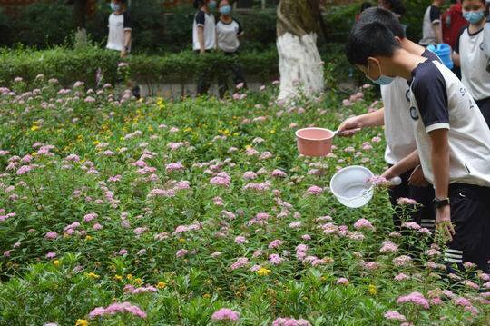 “开心农场”来啦！成都这所学校喊你上“农庄课程”