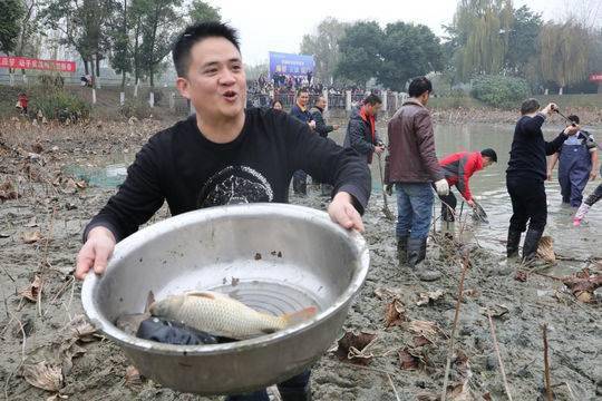 “开心农场”来啦！成都这所学校喊你上“农庄课程”