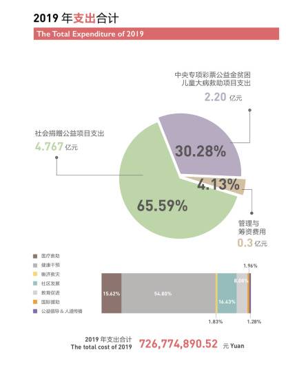 中国红十字基金会2019年支出情况。中国红十字基金会2019年度工作报告截图