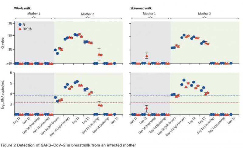 柳叶刀：母乳首次测出新冠病毒阳性，需深入研究哺乳是否传播