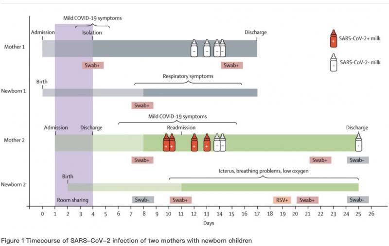柳叶刀：母乳首次测出新冠病毒阳性，需深入研究哺乳是否传播