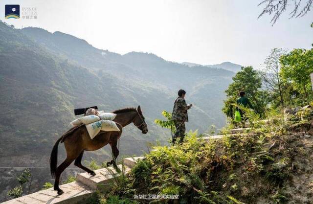 ↑李小波在去巡山护林的路上。