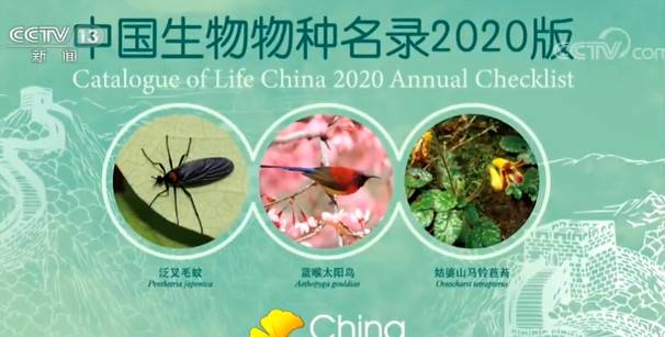 《中国生物物种名录2020版》发布