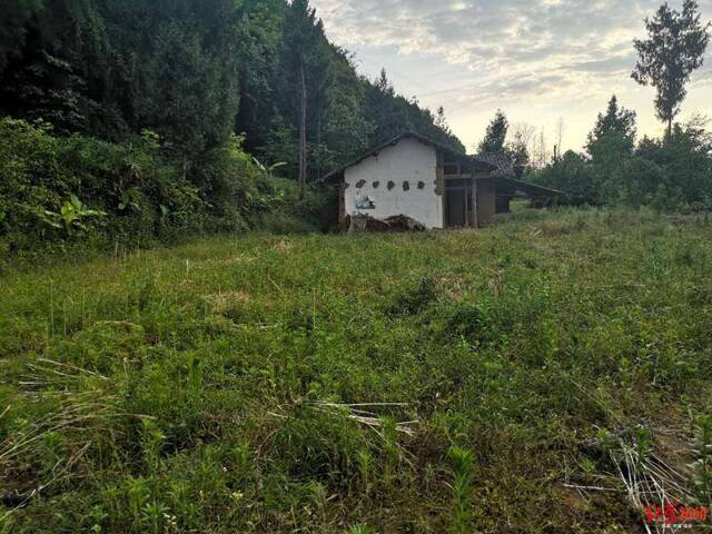 苟某林房子被拆已经为平地远处为留给苟某林居住的房子