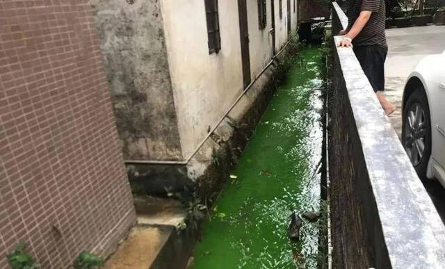 触目惊心！水全都“染绿”了！东莞多家企业被查处！