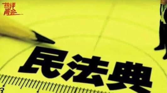 中国首部民法典表决通过 2021年1月1日起施行