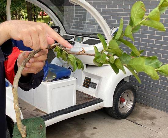 北京植物园有人聚集诱拍鸟类园内员工“硬核”劝阻