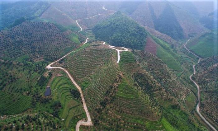 林区道路：蜿蜒在青山间的“致富路”