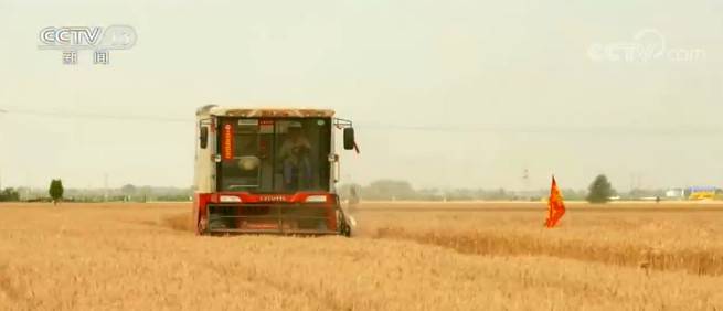 关注夏收一线·主产区小麦收获大面积展开