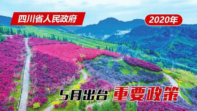 政策回顾：四川省人民政府2020年5月出台重要政策