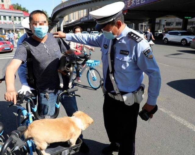 黑龙江哈市交警集中治理非机动车 以下行为全罚！