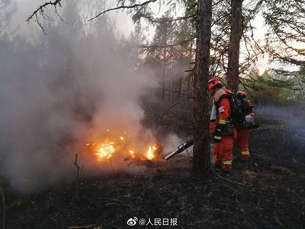 大兴安岭林区两起森林火灾已合围 火因均为雷电火