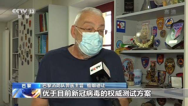 闻气味辨别是否携带新冠病毒？法国正训练搜救犬参与医疗检测