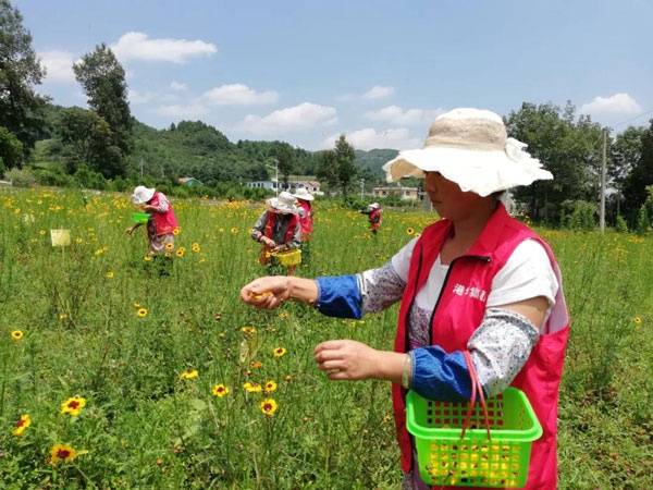 决战脱贫攻坚｜广州加强异地扶贫协同监督同心护航脱贫攻坚