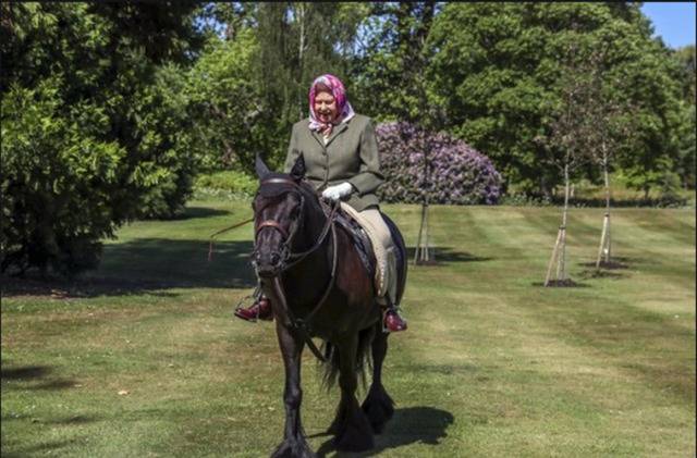 英国防疫封锁后94岁女王首次公开露面，在温莎城堡骑马