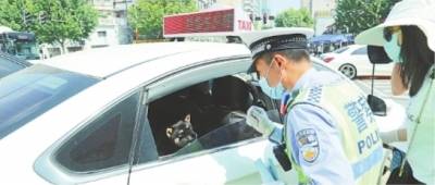 武汉交警全市一百个路口检查“一盔一带”