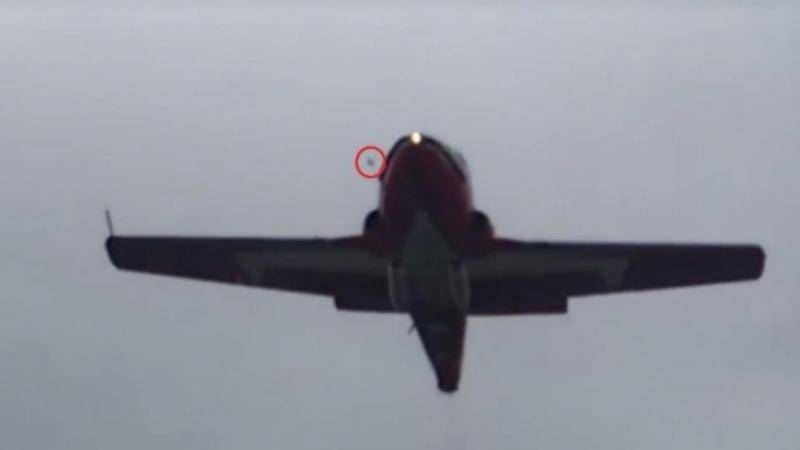 加拿大空军报告：造成“雪鸟”飞机坠毁的原因可能是鸟类撞击