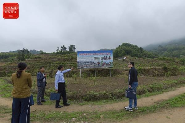 镜头  织密监督网 亮剑保民生