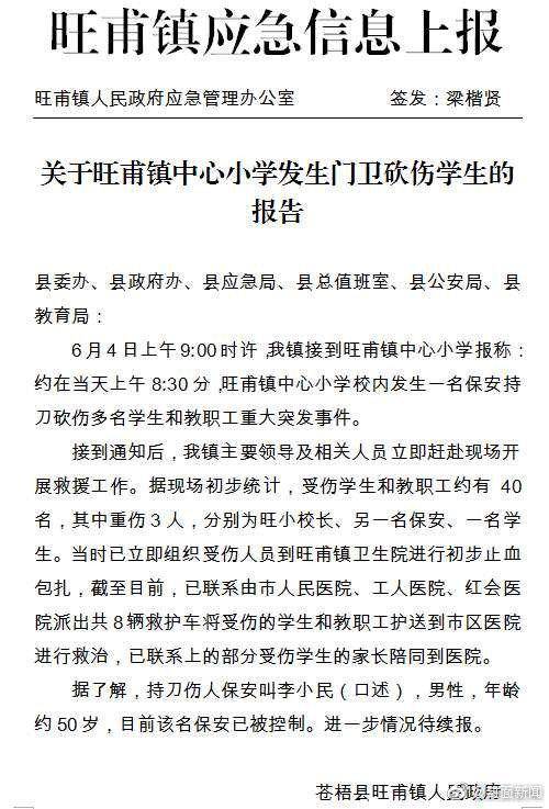 广西通报小学砍人事件：保安持刀砍伤约40人