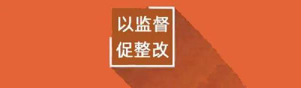 以监督促整改 着力净化金融系统政治生态——杨阿麟严重违纪违法案以案促改