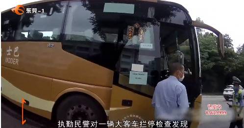 后排不系安全带？罚！东莞正在严查，已有多人被罚！