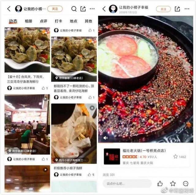 ▲网友爆料UP主虎子的部分大众点评记录。虎子此后发视频承认大众点评上的账号是自己的。目前在大众点评上，该账号所有点评已删除。