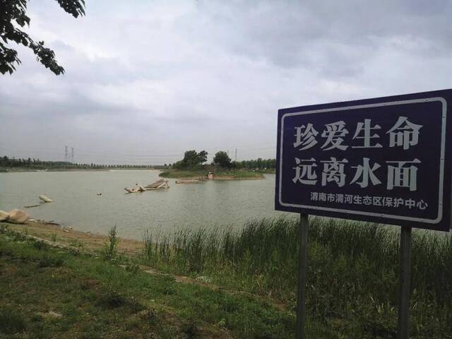 渭河生态公园2019年整改时，通往湖心岛的拱桥被拆掉，没入水中的残碎桥体至今未有人拉走处理。摄影/本刊记者周群峰