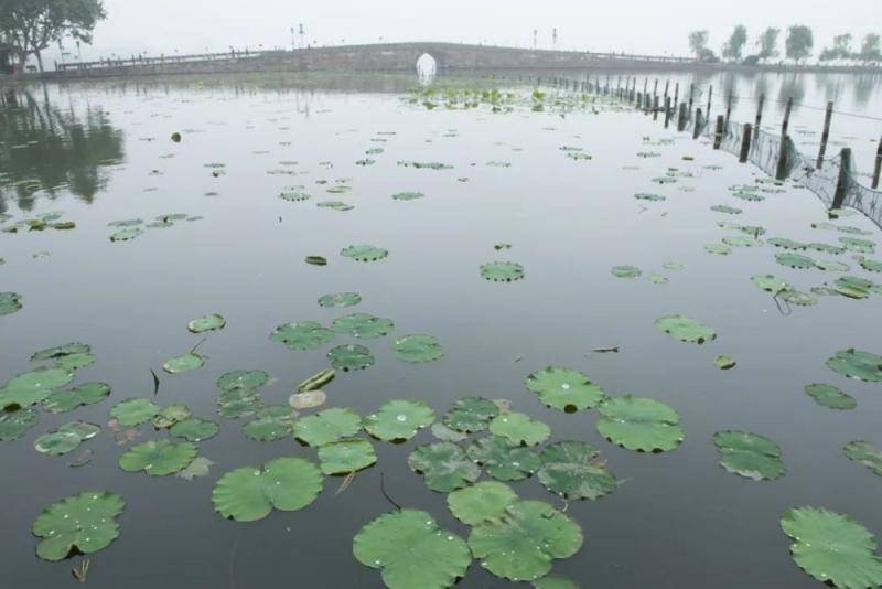 今日芒种，穹宇壮阔，烟火正浓