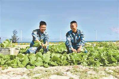 海军在三沙海滩种出蔬菜 对我国南海主权有啥意义？