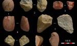 吉林省农安县境内发现多处重要旧石器时代晚期遗址