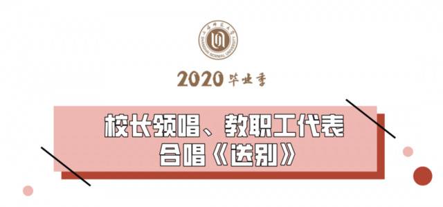 毕业不留遗憾，师大香樟树下的毕业典礼一切正好