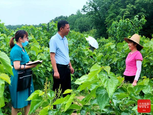 镜头  奋战在决战决胜第一线