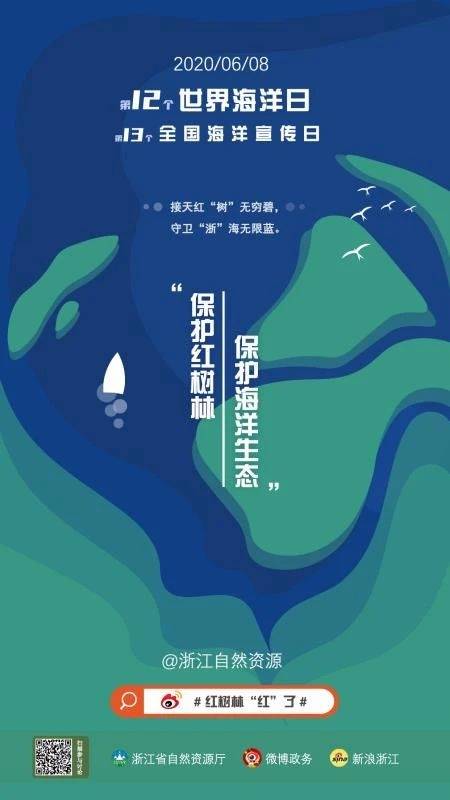 海洋日，公益直播、微博接力……红树林“红”了！