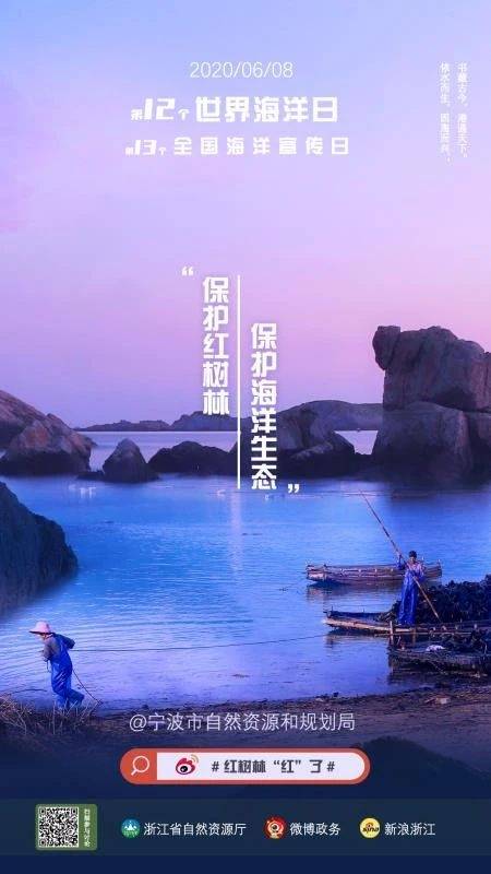 海洋日，公益直播、微博接力……红树林“红”了！