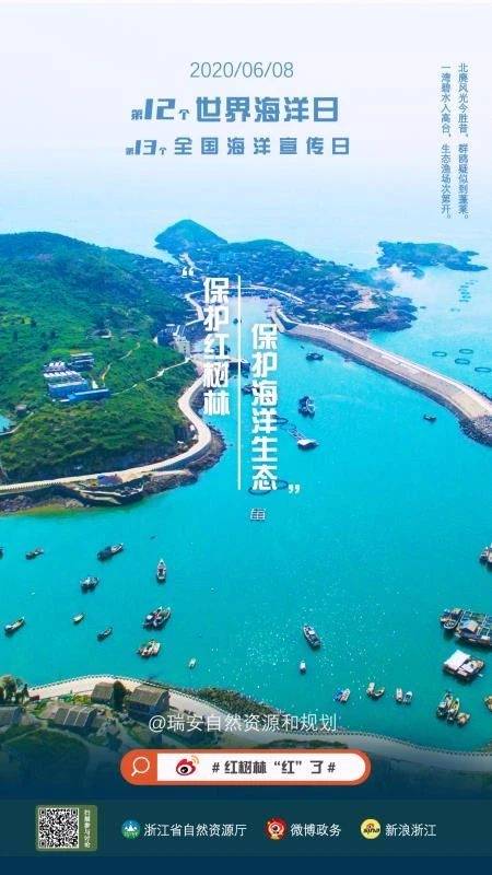 海洋日，公益直播、微博接力……红树林“红”了！