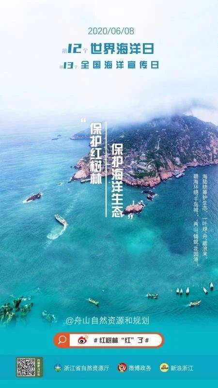 海洋日，公益直播、微博接力……红树林“红”了！