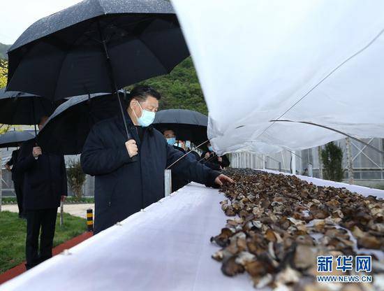 习近平宁夏考察，这张照片刷屏了