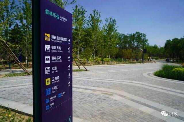 蔡奇调研北京城市最大“绿肺”，要求示范区9月1日如期开园