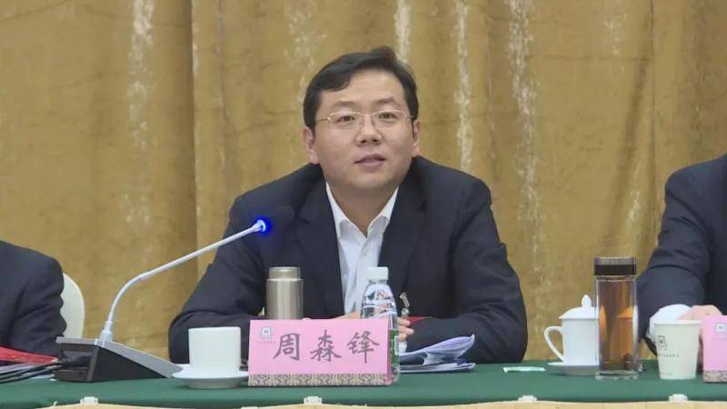 80后厅官成湖北省委委员 曾是“中国最年轻市长”
