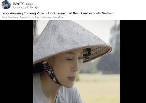 李子柒视频被剽窃 外国人还以为她是越南人…